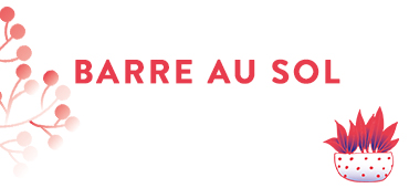 barre au sol