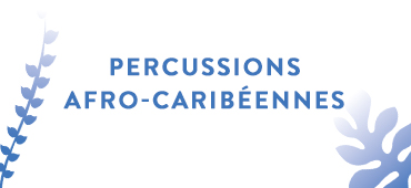 Percu afro caribéennes