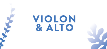 violon