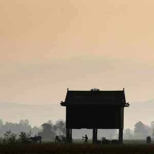 EXPOSITION KEAT TUNIER « Le Cambodge de mon enfance » (6 > 22/02)