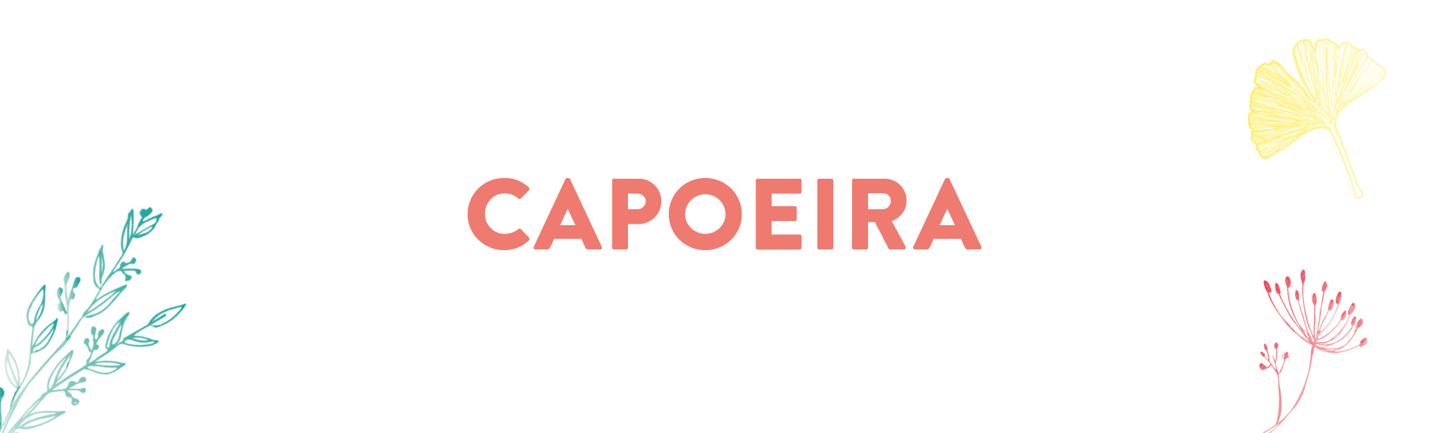 capoeira