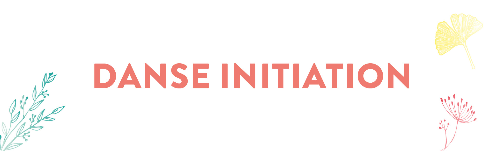DANSE INITIATION