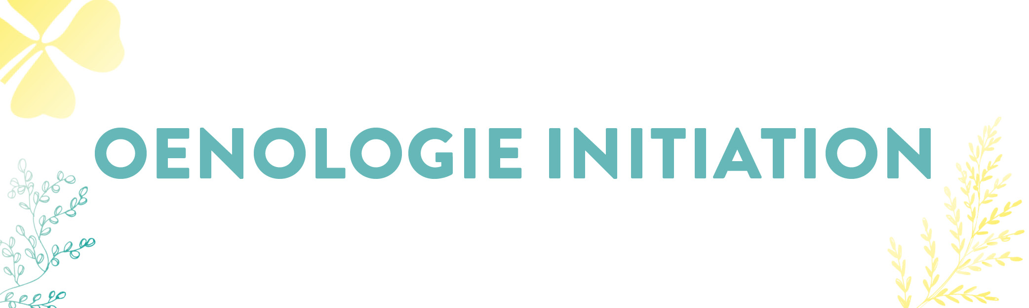 oenologie initiation
