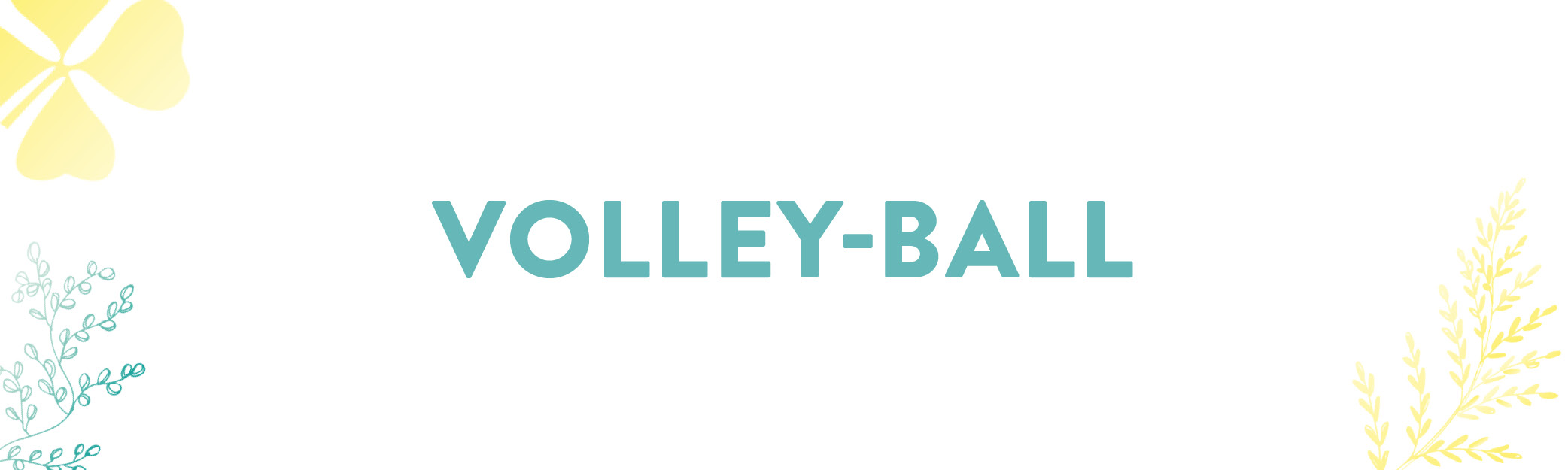 volley