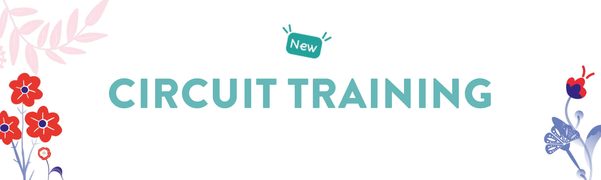 circuit training