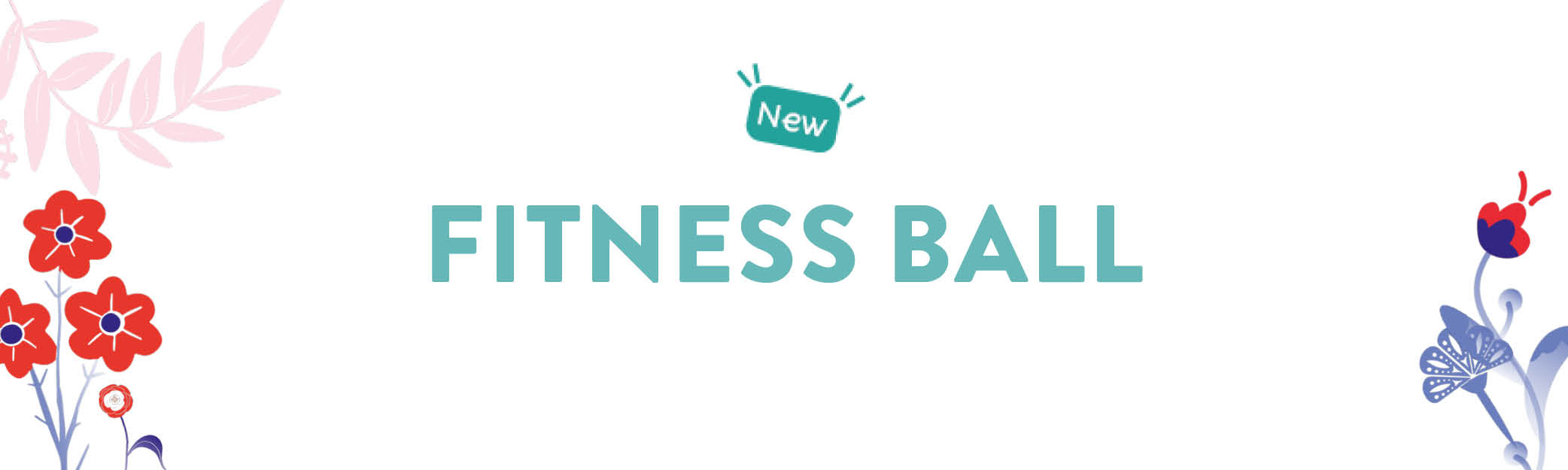 fitness ball