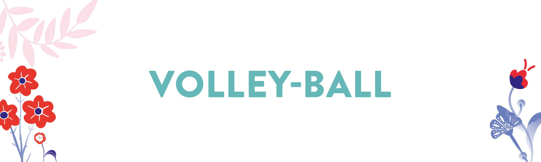 volley