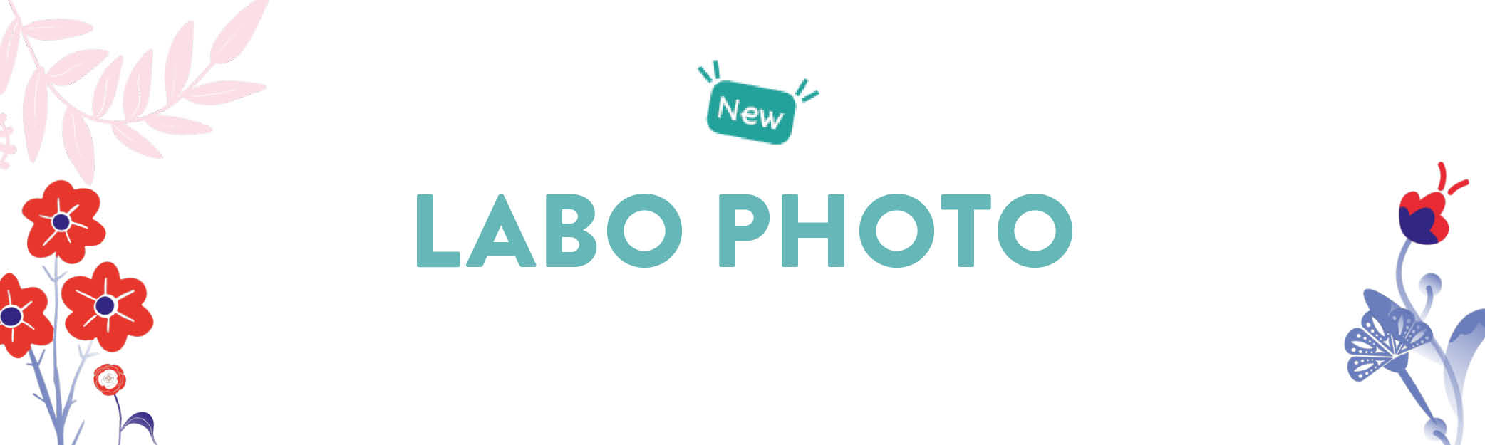 labo photo